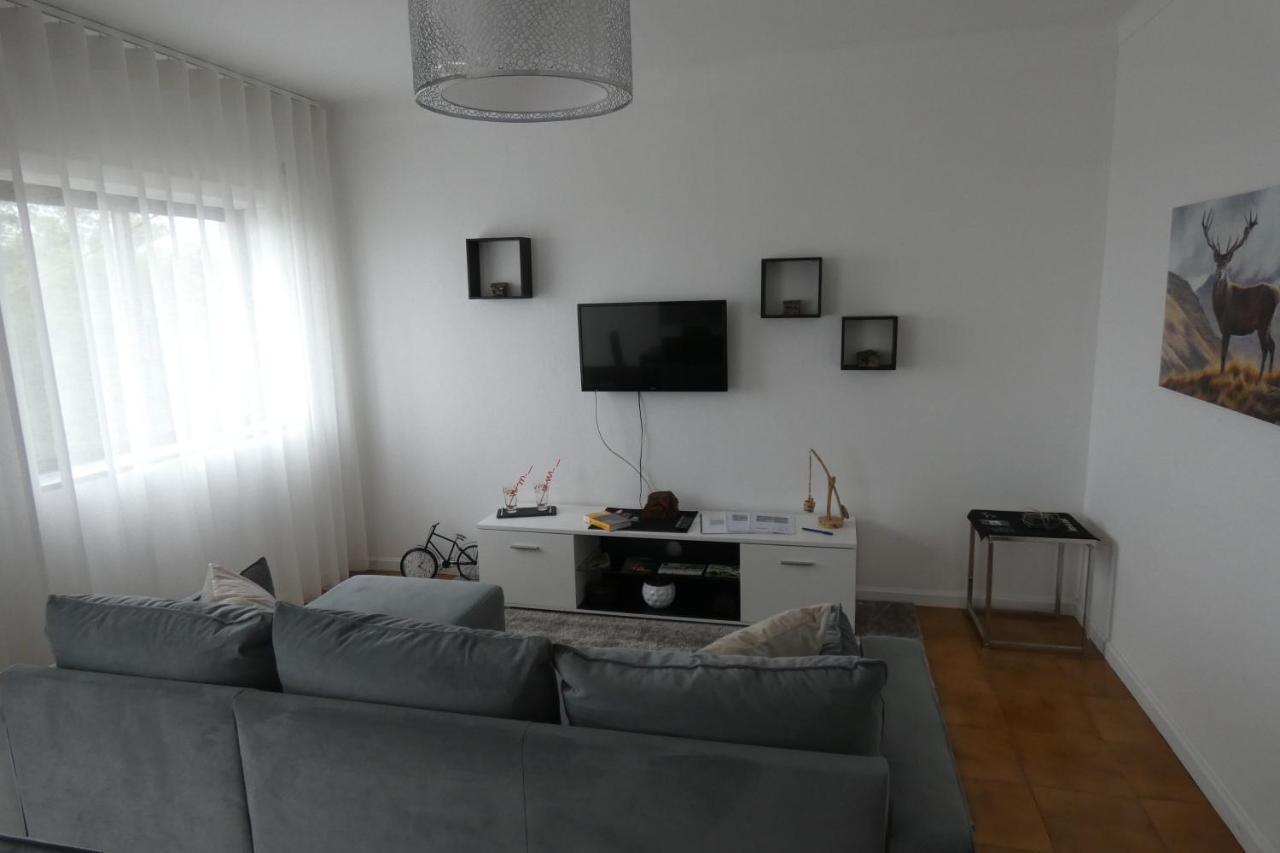 Casa Sandra - Apartamento Carlota Lousã Kültér fotó